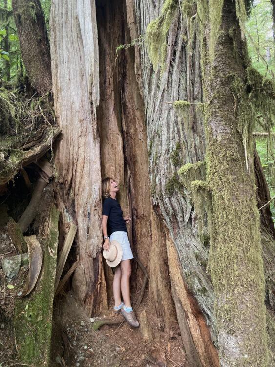 woman stands in the giant roots of a tree